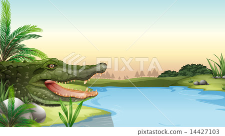 A reptile at the river 14427103