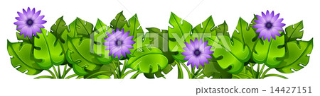 Green leafy plants with flowers 14427151