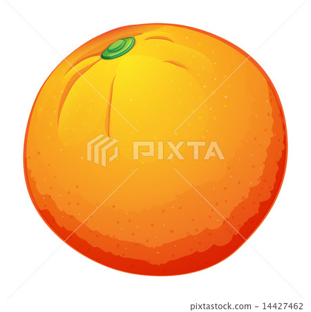 A big orange A big orange 14427462