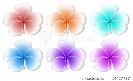 Six flowers Six flowers 14427717