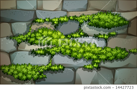A wall with plants A wall with plants 14427723