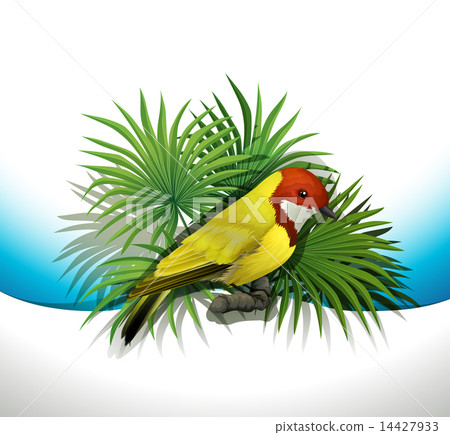 A bird A bird 14427933