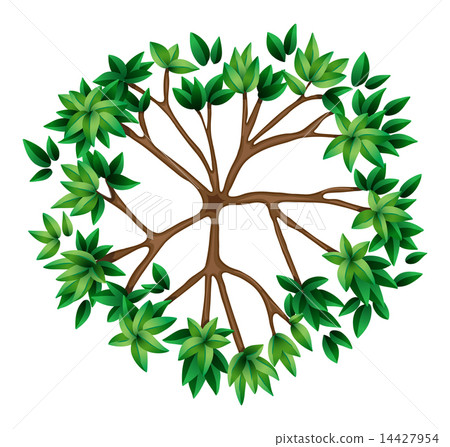 A top view of a plant A top view of a plant 14427954