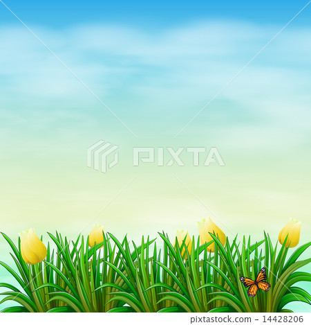 A view of nature with blooming flowers A view of nature with blooming flowers 14428206