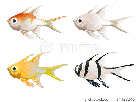 Sea creatures 14428240