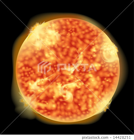 Sun Sun 14428251