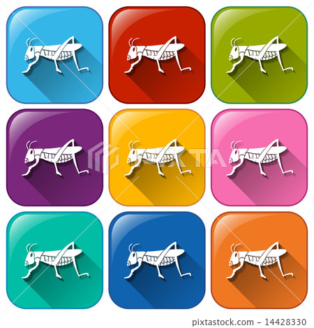Insect icons Insect icons 14428330