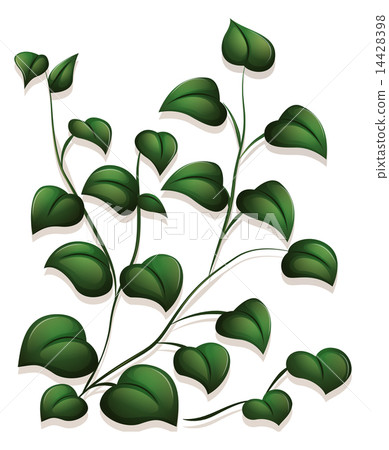 Leaves Leaves 14428398