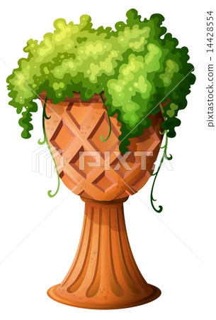 A plant in a cup-shaped pot A plant in a cup-shaped pot 14428554