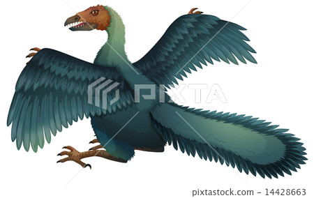 Archaeopteryx Archaeopteryx 14428663