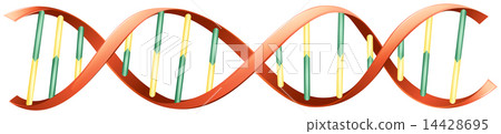 DNA DNA 14428695