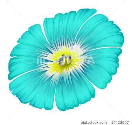 A blooming blue flower 14428697