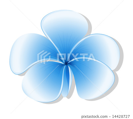 A fresh five-petal blue flower 14428727