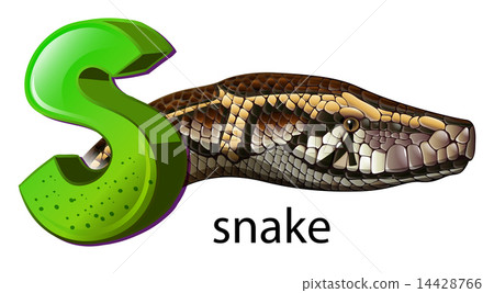 A letter S for snake 14428766