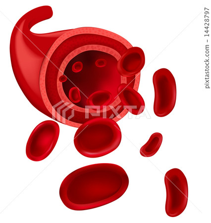 Red blood cells Red blood cells 14428797