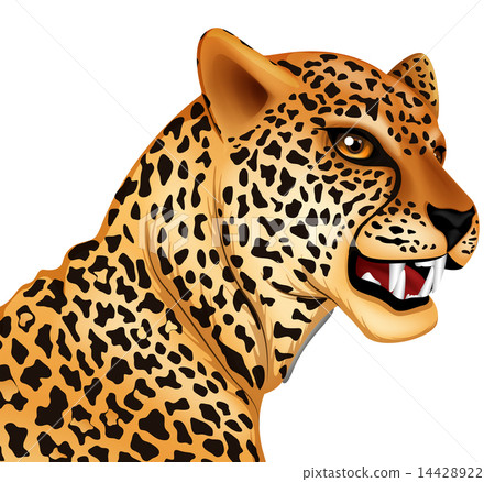 The Cheetah The Cheetah 14428922