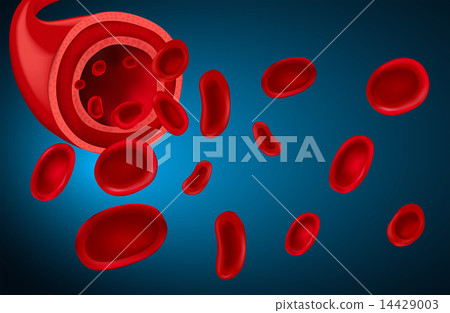 Blood 14429003