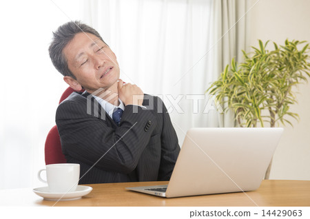 Middle male · personal computer 14429063