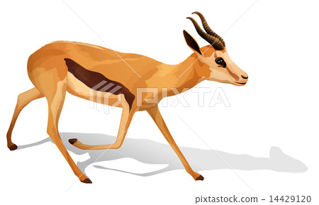 A deer A deer 14429120