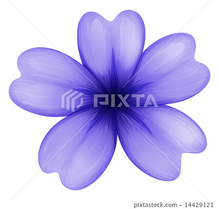 A violet flower 14429121