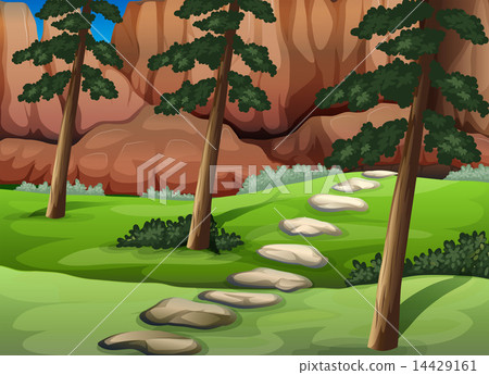 A forest with big rocks A forest with big rocks 14429161