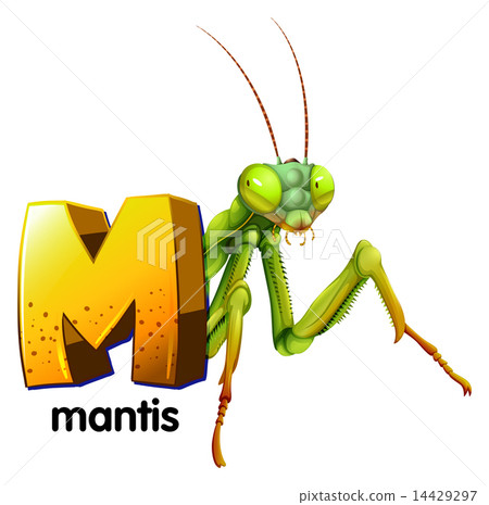 A letter M A letter M 14429297