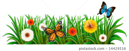 A garden with blooming flowers and butterflies 14429316