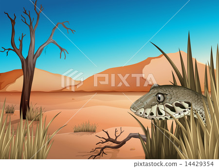 A reptile in the dessert A reptile in the dessert 14429354