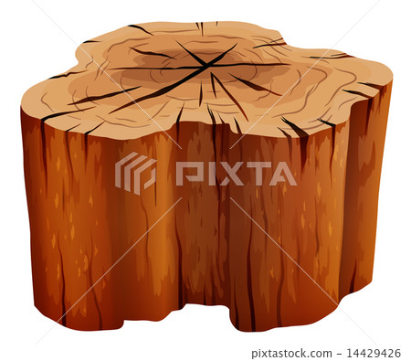 A big stump A big stump 14429426