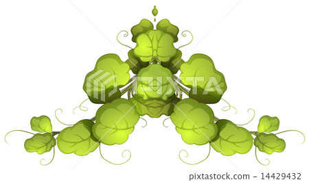 A green leafy plant 14429432