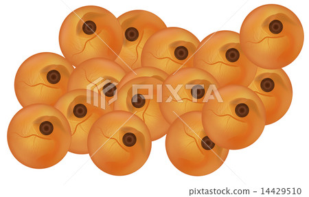 Salmon eggs 14429510