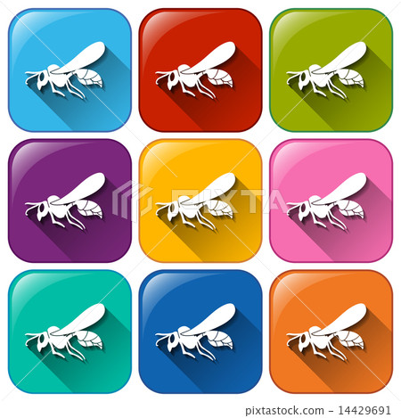 Insect icons 14429691
