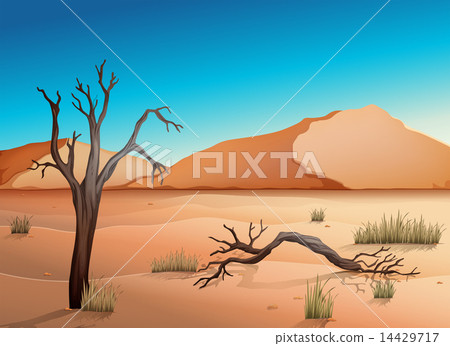 Ecosystem Desert Ecosystem Desert 14429717