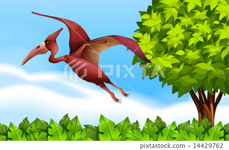 A Pterodactyl 14429762