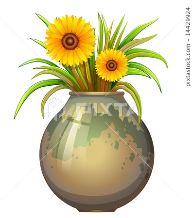 A pot with yellow flowers 14429924