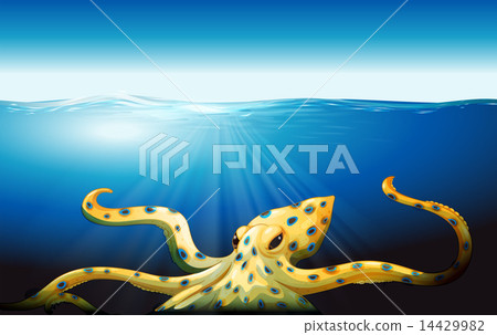 A big octopus under the sea 14429982