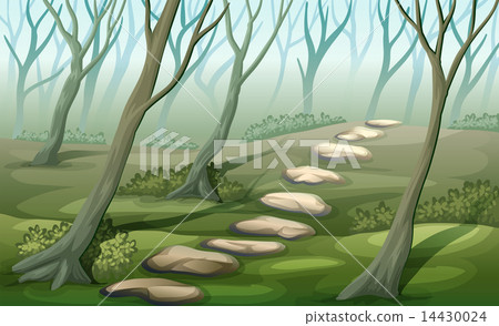 A forest 14430024