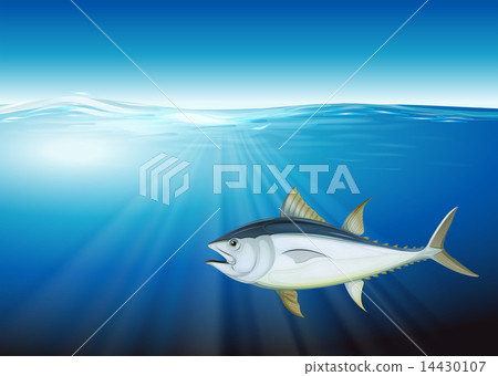 Tuna Tuna 14430107