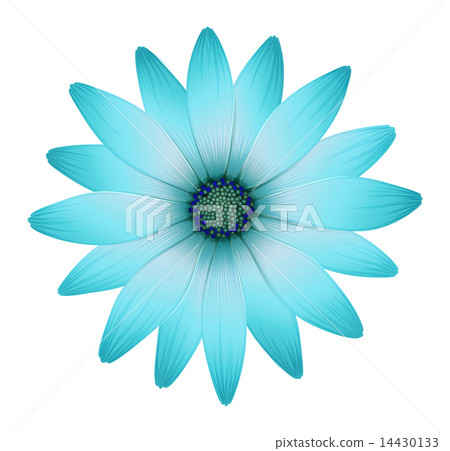 A beautiful flower 14430133