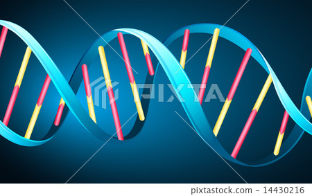 DNA DNA 14430216