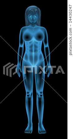 Female Body 14430247