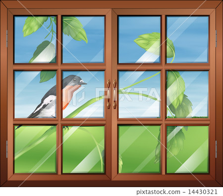 A window with a view of the bird at the stem of a plant A window with a view of the bird at the stem of a plant 14430321