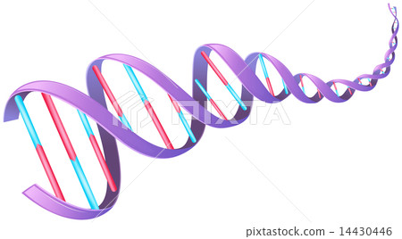 Human DNA 14430446