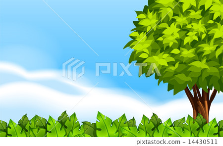 A summer scenery with green plants 14430511