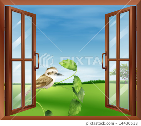 A window with a view of the bird outside A window with a view of the bird outside 14430518