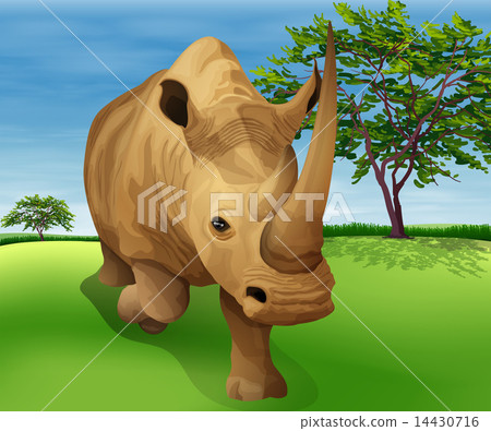 Rhinoceros Rhinoceros 14430716