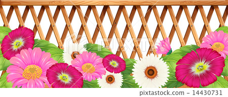 A garden of flowers with a fence 14430731