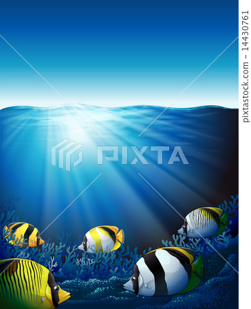 Fishes under the sea with sunlight 14430761
