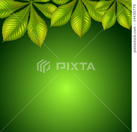 A green background A green background 14430779