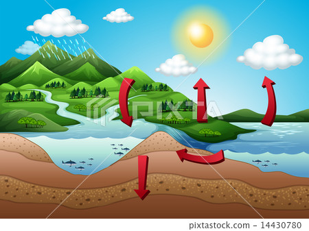 The water cycle The water cycle 14430780